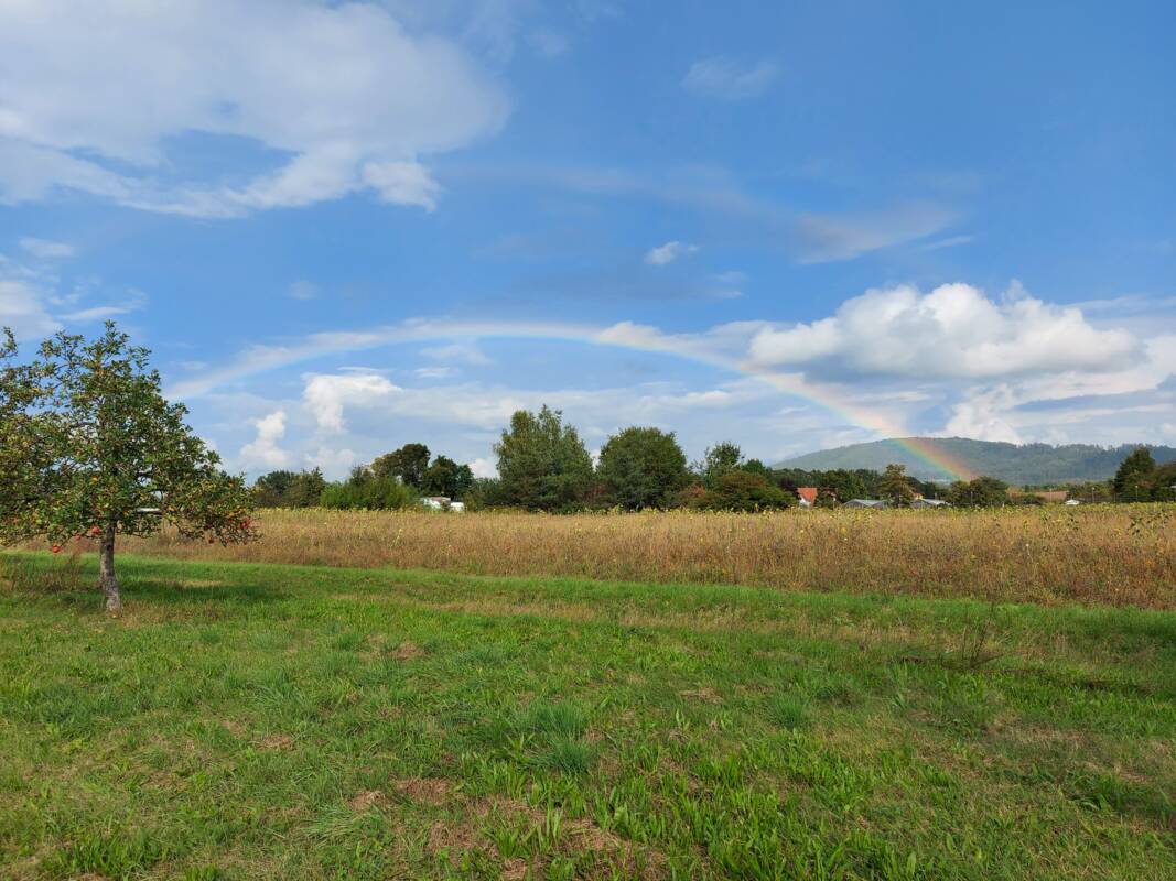 Regenbogen